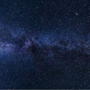 Meet your Posher, Clara